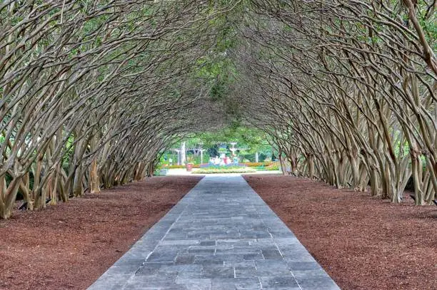 The Dallas Arboretum and Botanical Garden is a 66-acre botanical garden located at 8525 Garland Road in East Dallas, Dallas, Texas, on the southeastern shore of White Rock Lake.