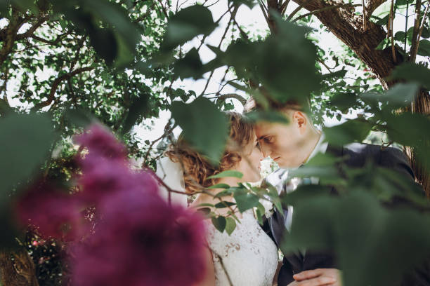 beautiful gorgeous bride and groom kissing in sunny spring park among green leaves and blooming. happy wedding couple embracing in green garden. happy marriage moments. elopement concept beautiful gorgeous bride and groom kissing in sunny spring park among green leaves and blooming. happy wedding couple embracing in green garden. happy marriage moments. elopement concept eloping stock pictures, royalty-free photos & images