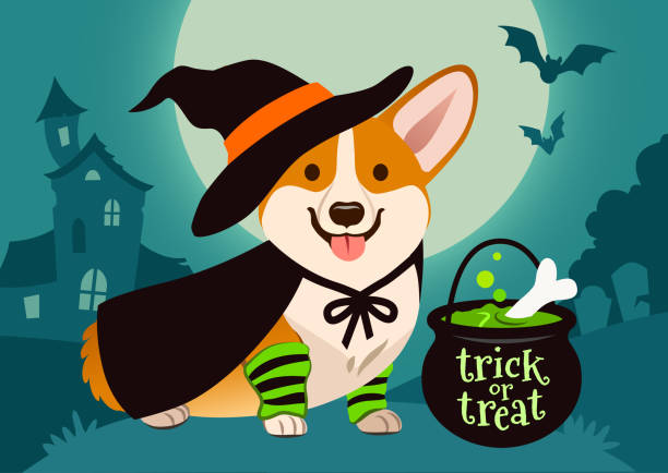 istock Halloween cute smiling welsh corgi dog in witch costume, black hat and cape, green bubbling potion brewing in trick or treat cauldron. Spooky night scene with full moon, haunted house, forest cemetery 1055907164