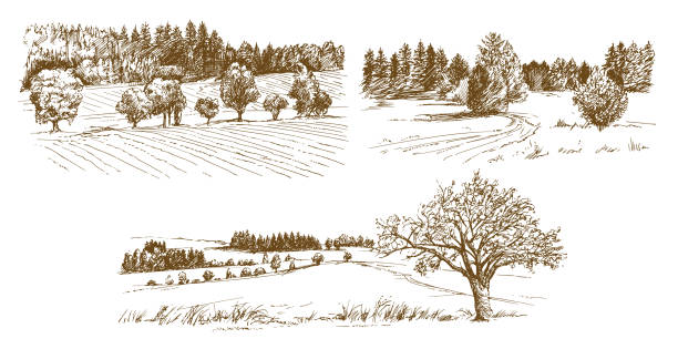 Rural landscape. Rural landscape. Hand drawn set. farm drawings stock illustrations