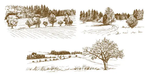 Vector illustration of Rural landscape.