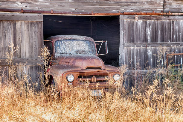 istock Truck With Bird Poop 1055914806