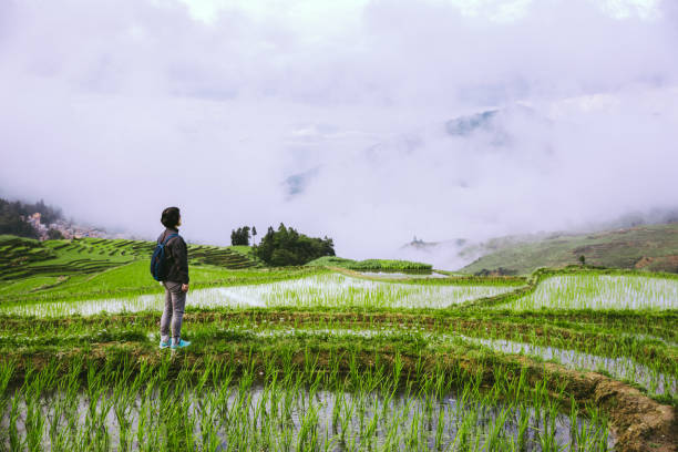 istock Terrace in Yunnan China 1055920458