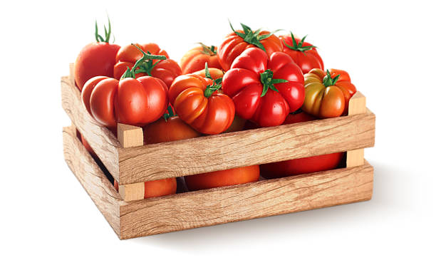 istock Fresh village tomatoes in wooden case with clipping path 1055920790