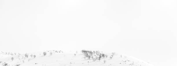 istock Winter background. Bare trees in the snow capped mountains. 1055921048