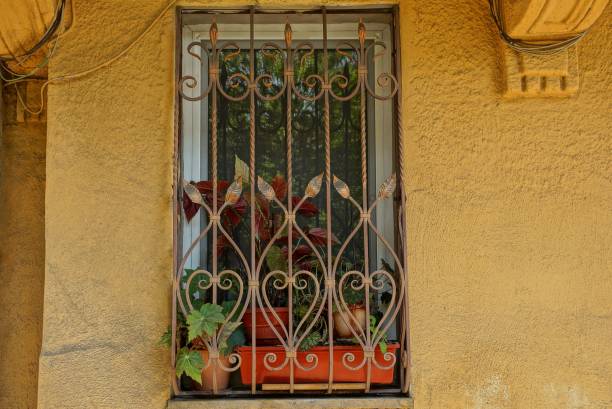 istock window with flowerpots and ornamental plants behind bars on a brown wall 1055930944