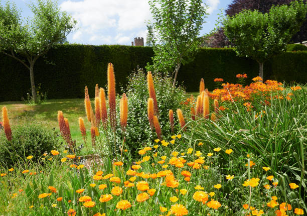 Traditional flower gardens at a country park