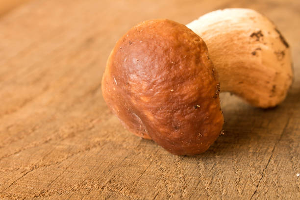 istock A boletus on an old oak table . Autumn. Mushroom picking 1055939794