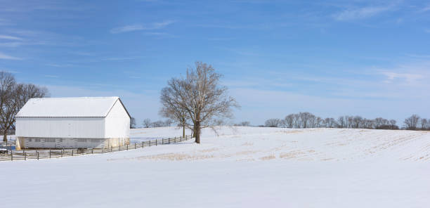 A photo of winter landscape in Danmak