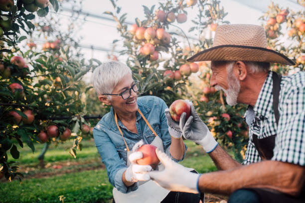 istock Smiling mature couple with apples 1055940826
