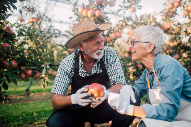 istock Couple holding an apple outdoors 1055940922