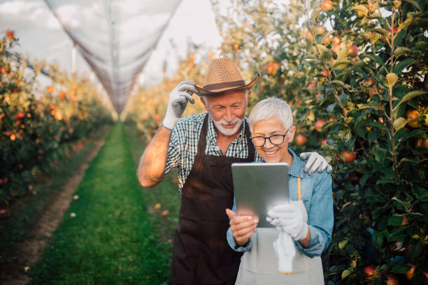 старшая пара с цифровым планшетом - senior adult couple farm gardening стоковые фото и изображения