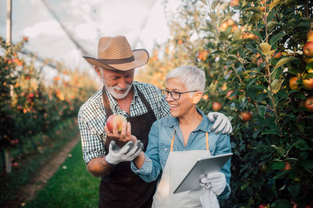 istock Farmers examining quality of an apple 1055943316