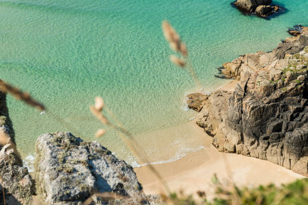 istock Beautiful Coastline South Cornwall near Porthcurno. 1055945810
