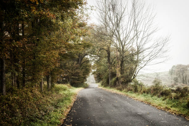 istock Foggy country road in the catskill mountainF 1055947272
