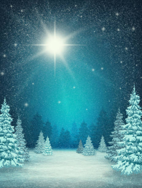 ilustraciones, imágenes clip art, dibujos animados e iconos de stock de fondo noche con paisaje de invierno. árboles cubierto de nieve, estrellas y copos de nieve cayendo - snowflake falling christmas backgrounds