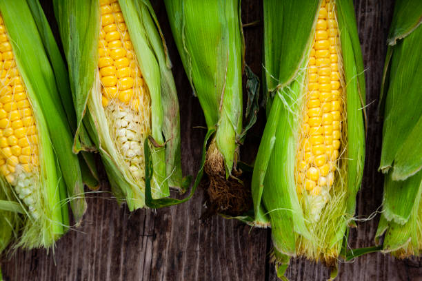 istock Ripe corn on a  wooden table. 1055957674