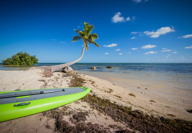 istock Beautiful beach with green surf board 1055958746