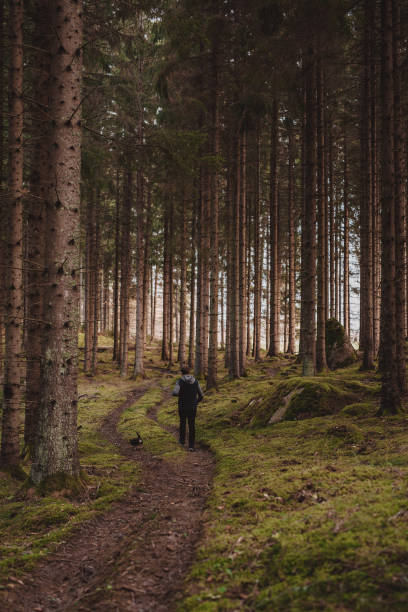 istock Man  walking his old chihuahua dog in forest 1055964078