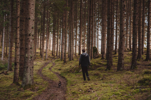 istock Man  walking his old chihuahua dog in forest 1055967816