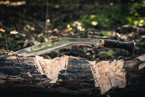 istock Axe, wood, outdoors 1055970614