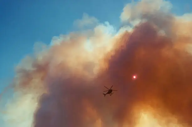 Photo of Helicopter Surveys Forest Fire