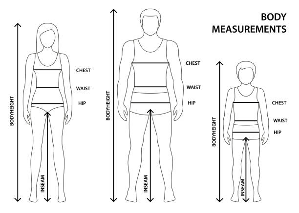 660+ Body Measurement Chart Stock Photos, Pictures & Royalty-Free Images -  iStock