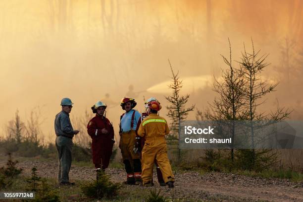 Forest Fire Stock Photo - Download Image Now - Forest Fire, Canada, Accidents and Disasters