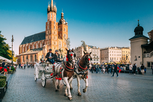 Krakow, Poland - August 27, 2018: Two Horses In Old-fashioned Coach At Old Town Square In Cloudy Summer Day. St. Mary's Basilica Famous Landmark On Background. Church of Our Lady Assumed into Heaven.