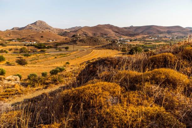istock Golden countryside on sunset. 1055975398