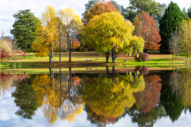 istock Reflection of autumn colored trees on the water 1055976338