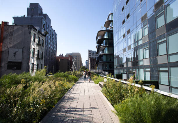 New York, NY: People strolling on the High Line in early morning light, with modern buildings and plants on the edges. The High Line is an elevated green park on the west side of Manhattan.