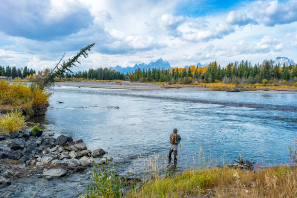 グランド ・ ティトン国立公園での釣りの釣り人 - snake river grand teton river wyoming ストックフォトと画像