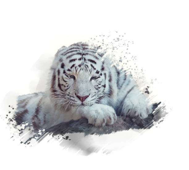 istock White tiger watercolor 1055981100
