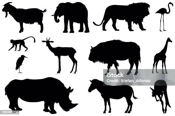 Various Zoo Animals Stock Illustration - Download Image Now - In Silhouette, Lion - Feline, Goat