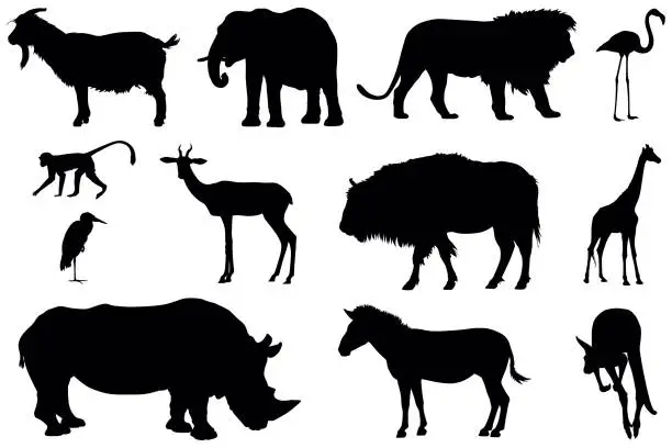 Vector illustration of Various zoo animals