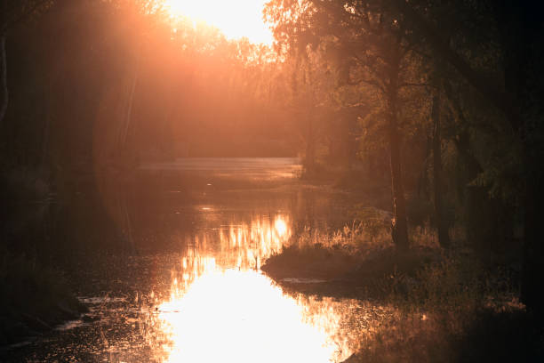istock beautiful landscape - river in the forest at sunset
