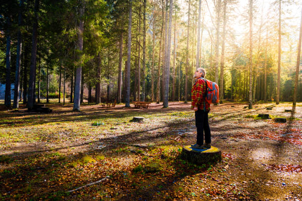 homem sênior caminhadas na floresta de outono bonito em alpes julianos - sport exercising men julian alps - fotografias e filmes do acervo