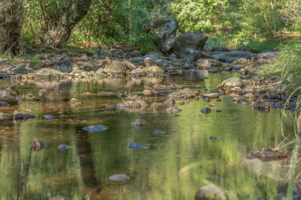 istock Landscape, river on the mountains 1055986150