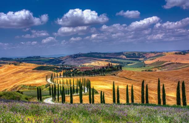 istock Cypress trees and meadow with typical tuscan house 1055988242
