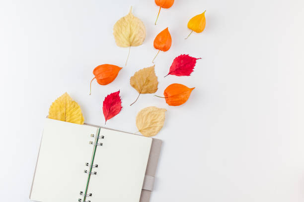 istock Notebook with flying dried flowers and leaves 1056000136