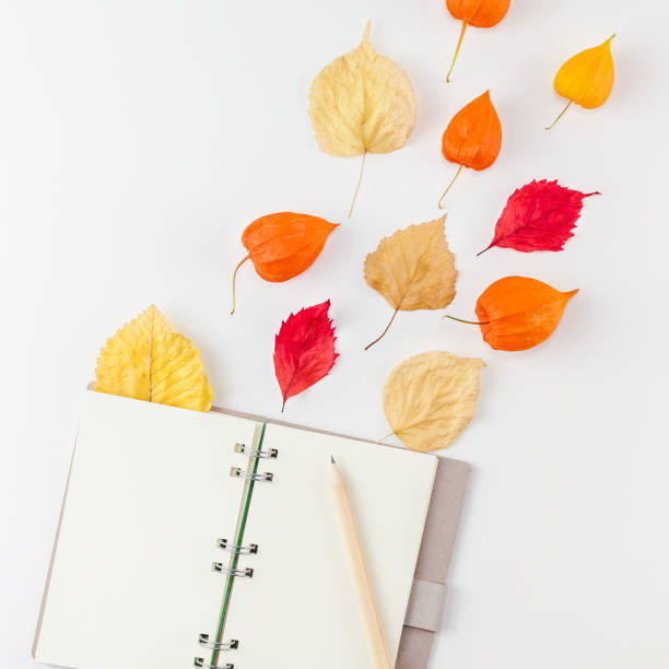 istock Notebook with flying dried flowers and leaves 1056000164