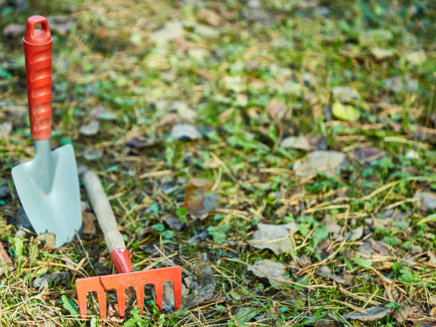 istock Garden cleaning, small shovel, rake, 1056000994