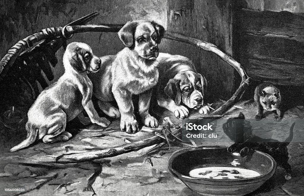 Dogs and cats at the bowl - food envy Illustration from 19th century 19th Century stock illustration