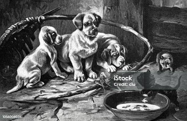 Dogs And Cats At The Bowl Food Envy Stock Illustration - Download Image Now - 19th Century, 2018, Antique