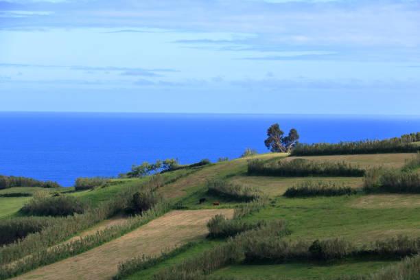 istock The Beautiful Isla Faial at the Azores (Portugal) 1056008066