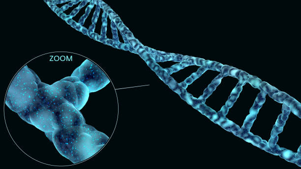 istock High detailed DNA spiral molecule isolated on black 1056009510