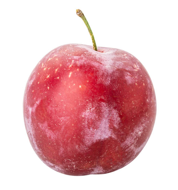 istock Fresh plum isolated on white background. Clipping path 1056012376