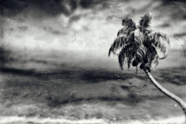 istock Retro vintage beach summer blurry background 1056013298