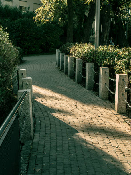 camino de adoquines en el parque - paving stone avenue stone curve fotografías e imágenes de stock